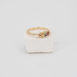 Interstellar Ring